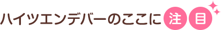 ハイツエンバーのここに